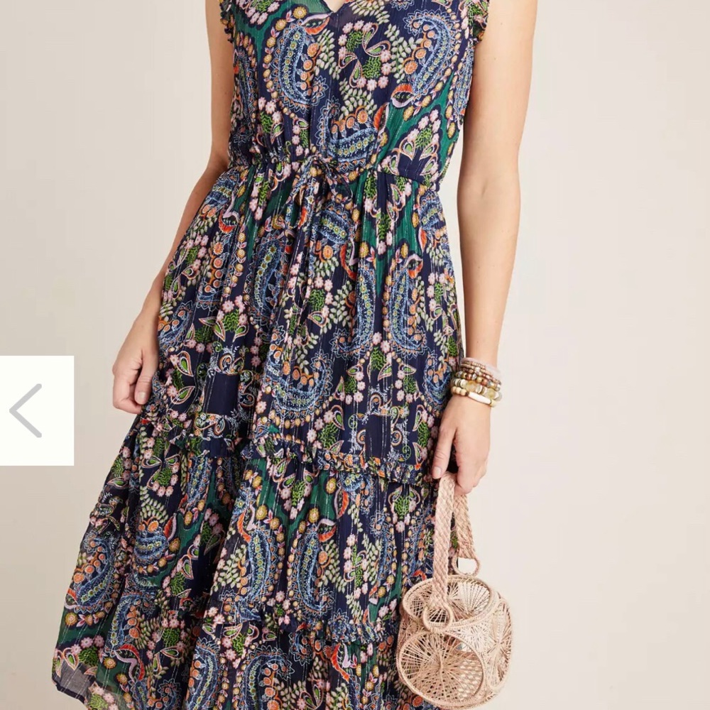 Anthropologie Elmira ruffled floral paisley midi dress